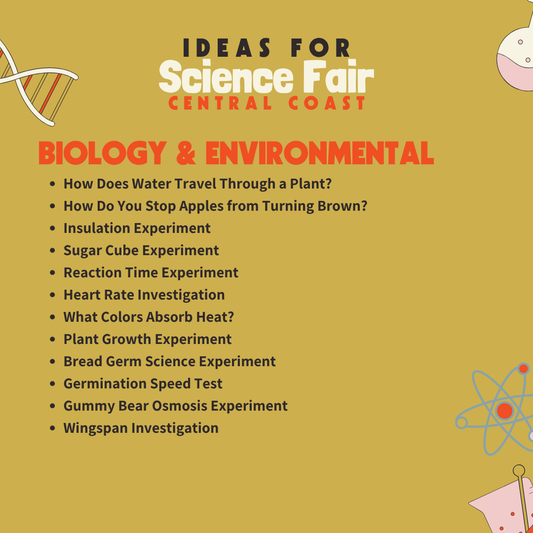Homeschool Adventures Club Science Fair 2026