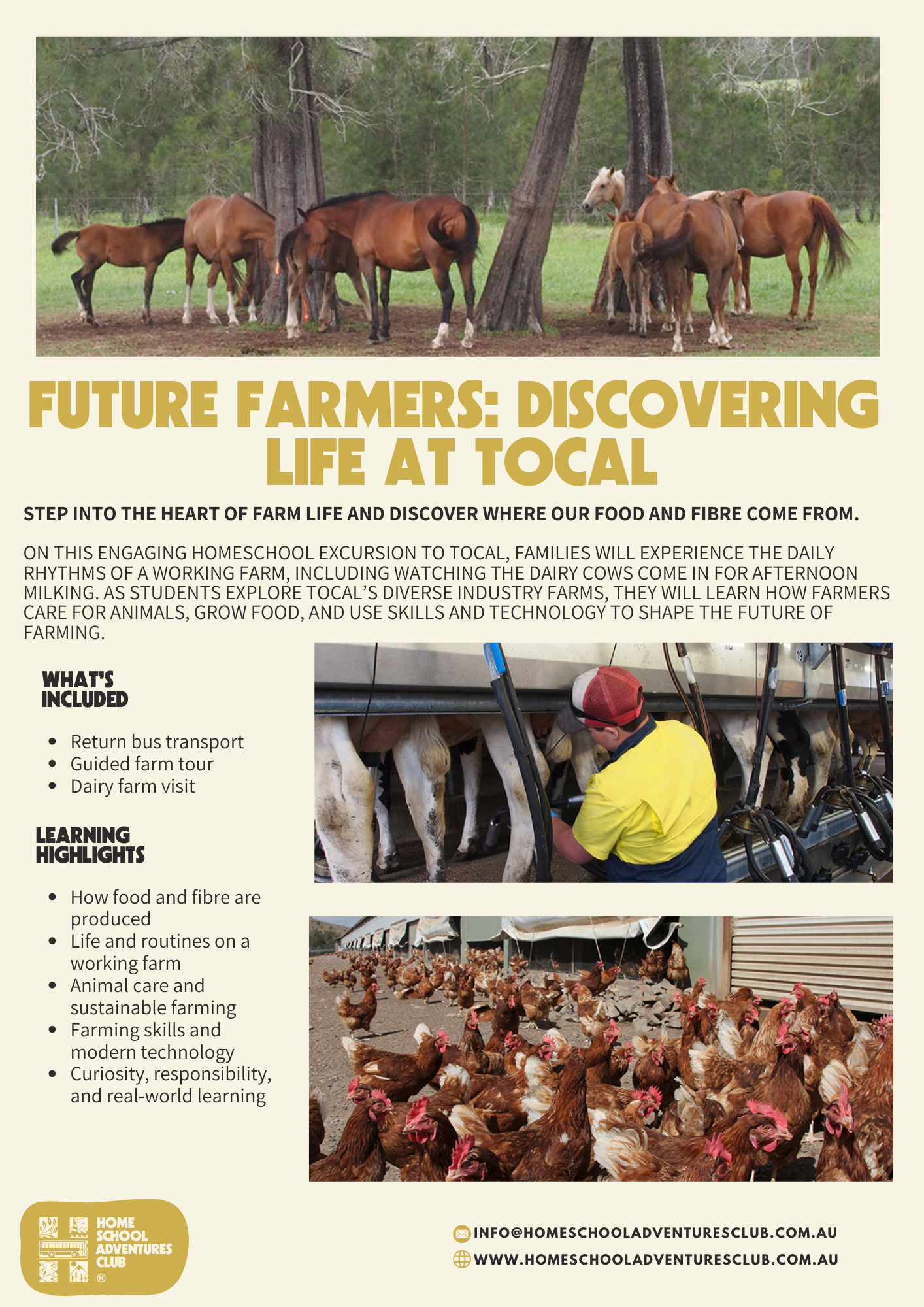 Choose Your Own Adventure