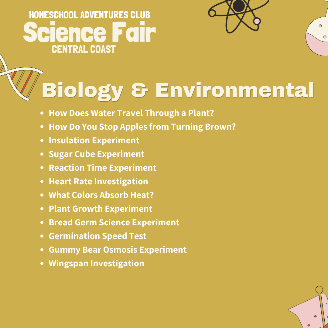 Homeschool Adventures Club Science Fair