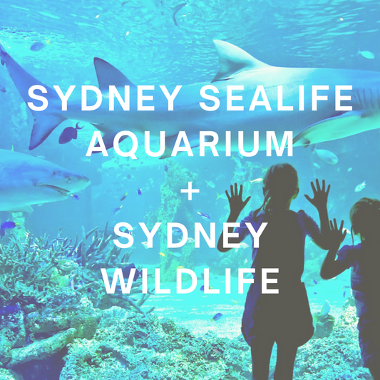 HSAC | SEALIFE Sydney Aquarium & Sydney WILDLIFE Excursion