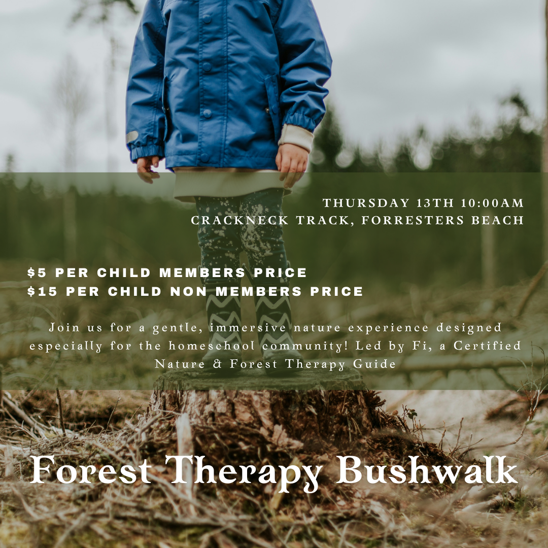Forest Therapy Bushwalk