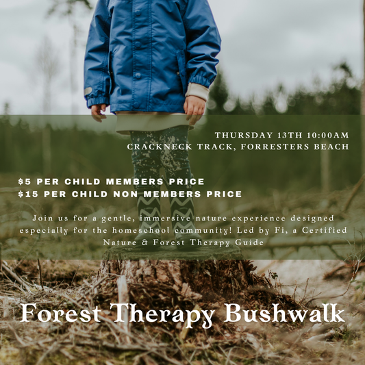 Forest Therapy Bushwalk